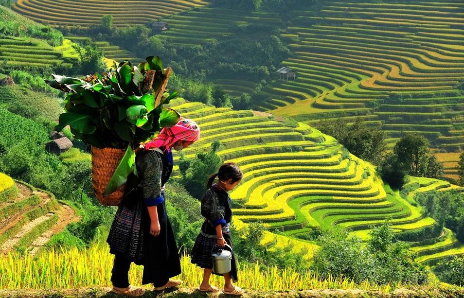 Hometravel Sapa Eksteriør bilde